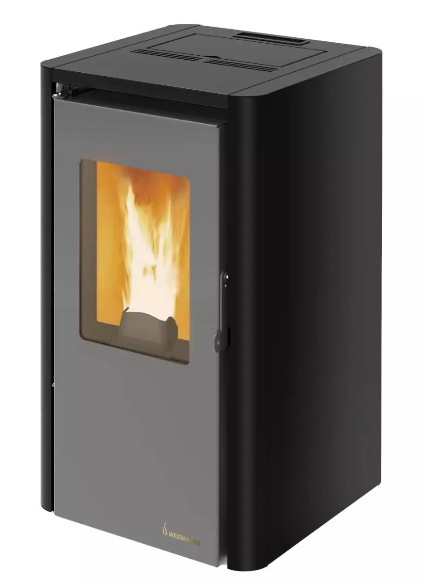 Westminster Pelletofen Motion 6